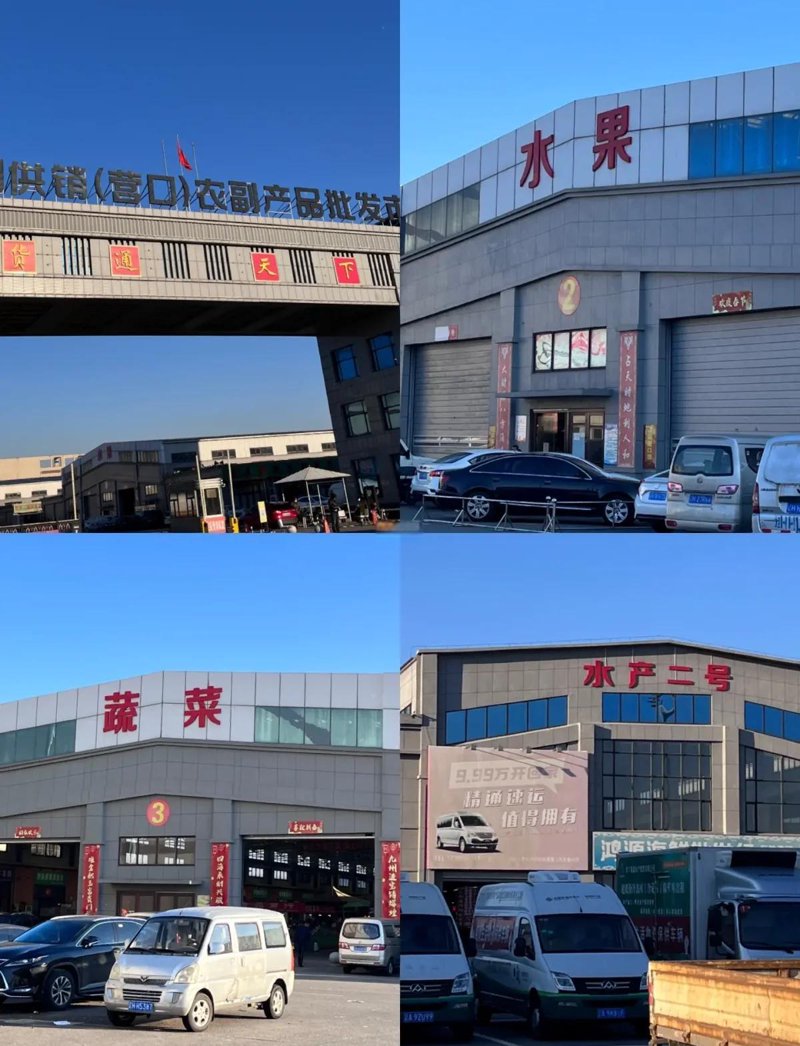 地毯清洗：如何选择适合的方法